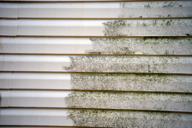 Best Fiber Cement Siding Installation  in Solana Beach, CA