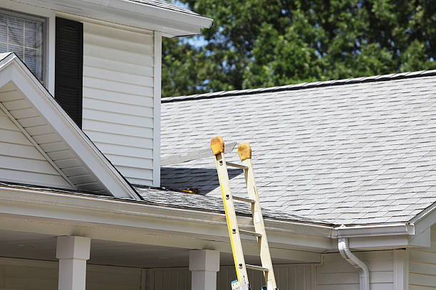 Best Insulated Siding Installation  in Solana Beach, CA