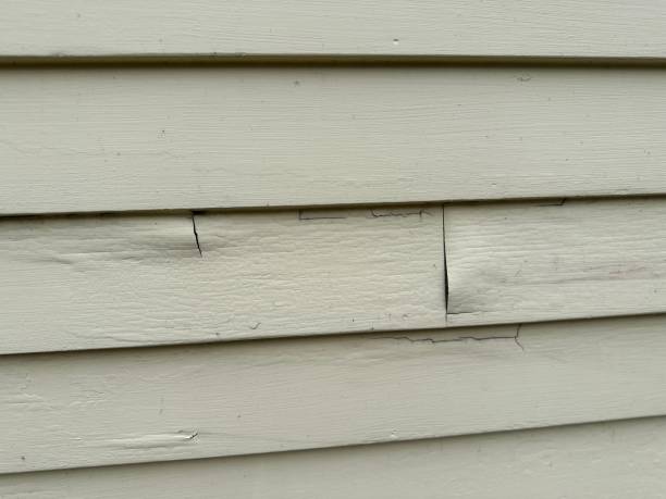 Best Custom Trim and Detailing for Siding  in Solana Beach, CA